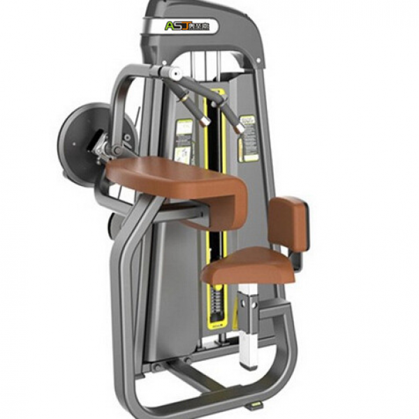 s807-seated-tricep747633EC-2CF5-42A6-9FC8-35671424988D.png