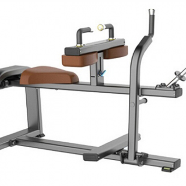 s843-seated-calf949C9C39-D2E1-4B68-AFB9-AE132009CE06.png