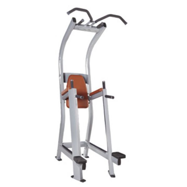 tz-5019-chin-dip-leg-raiseABE4FC87-A35E-44EE-92E5-E8229CB446D1.jpg